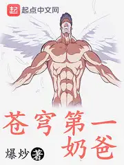 苍穹第一奶爸