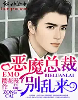 恶魔总裁，别乱来