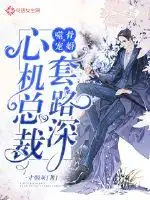 噬骨宠婚:心机总裁套路深