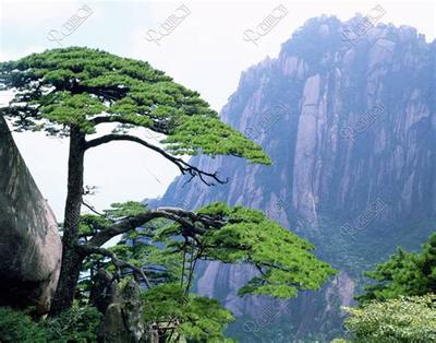 如何选择动土吉日？最准确择日指南