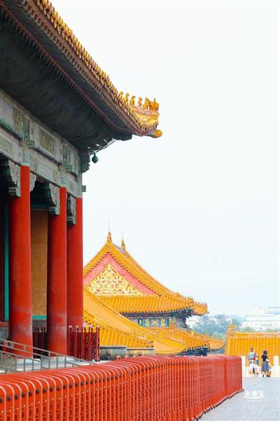 白羊座事业运势：2025年不可错过解读