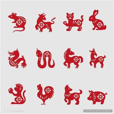 2026年属龙本命年注意事项