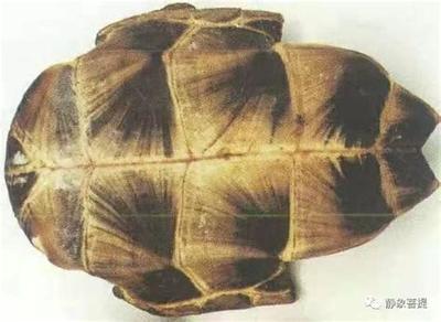 梦见考试预示什么？6种梦境详细解读